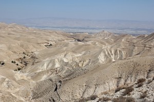 33841023664_bb19832f92_c