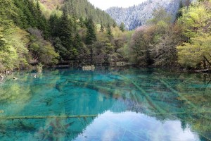 jiuzhaigou-2657770_1280